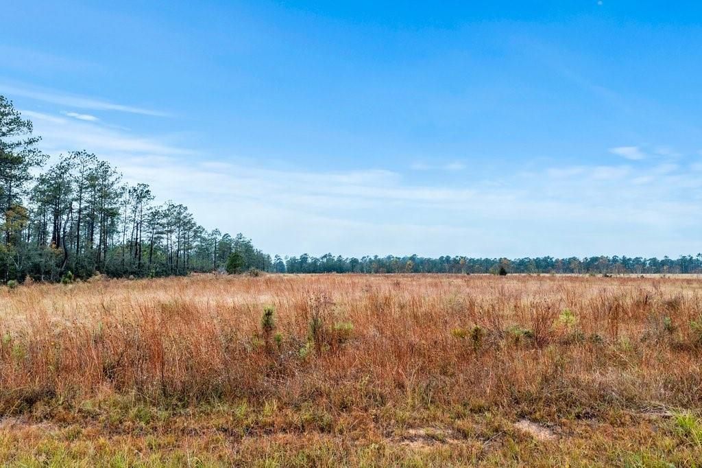 Mccorquodale Road Lot 17, Longville, LA 70652