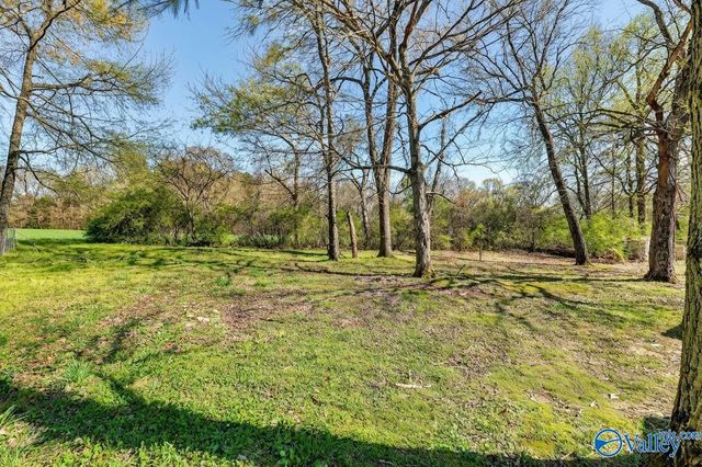 219 Stormy Drive, New Market, AL 35761