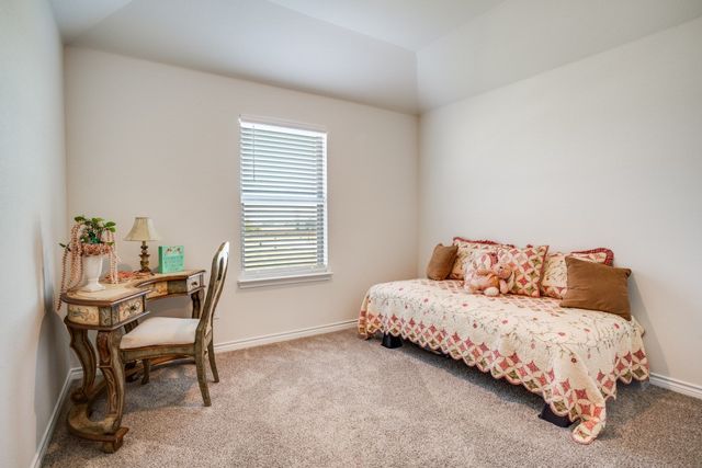 716 Lone Rock Drive, Anna, TX 75409