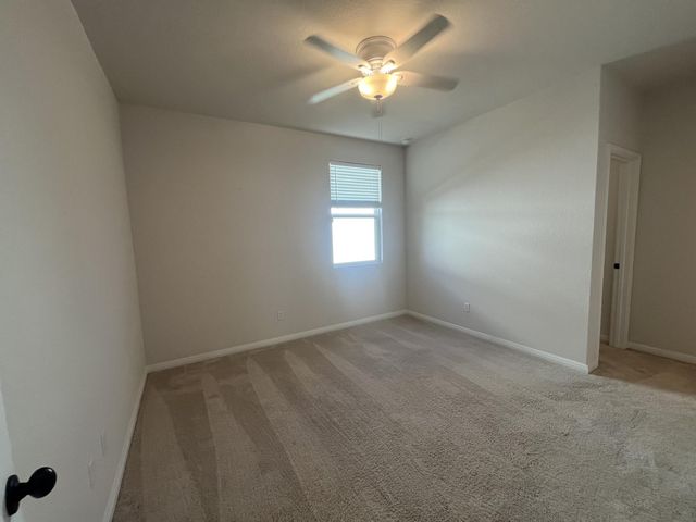 3008 Ottaviano WAY, Hutto, TX 78634
