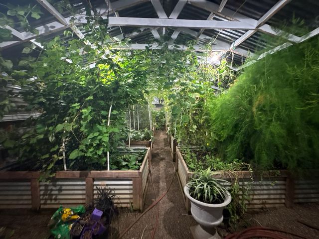 6564 165th Street N, Hugo, MN 55038