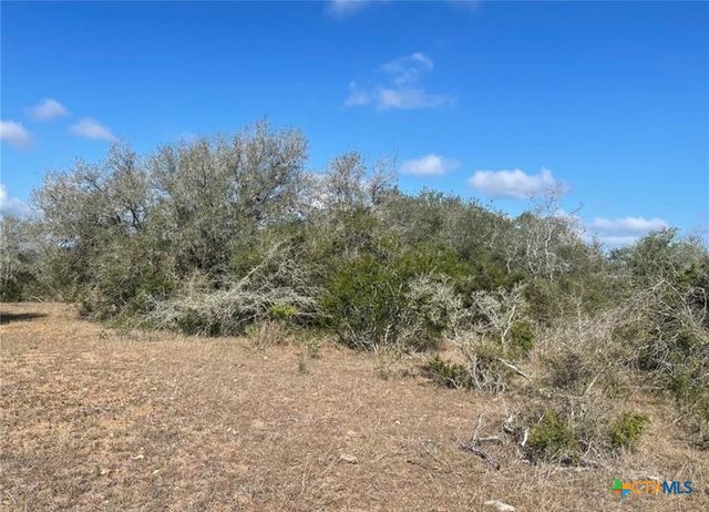 3626 Old Goliad Road, Goliad, TX 77963