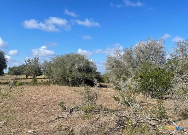 3626 Old Goliad Road, Goliad, TX 77963