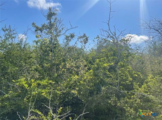 3626 Old Goliad Road, Goliad, TX 77963