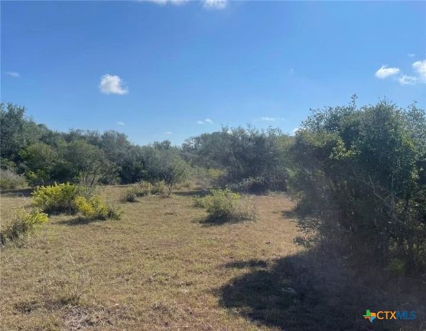 3626 Old Goliad Road, Goliad, TX 77963