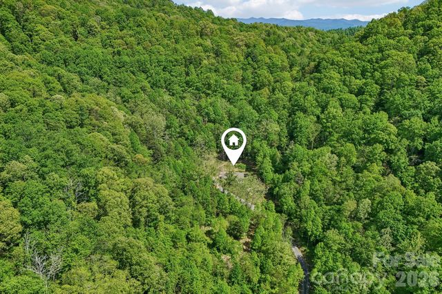 590 Willow Lane, Marshall, NC 28753