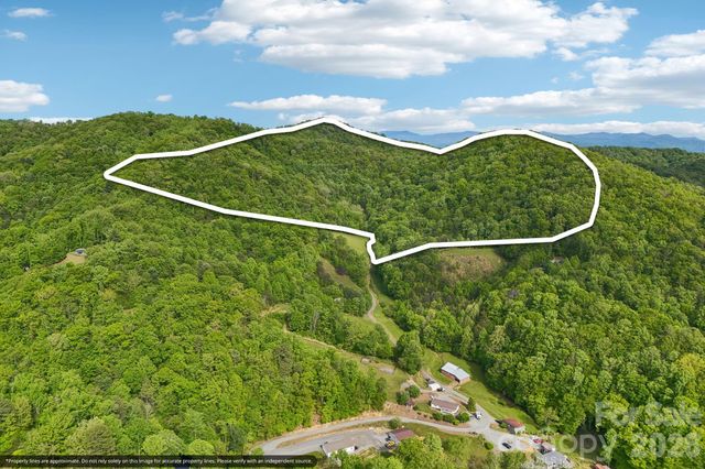 590 Willow Lane, Marshall, NC 28753