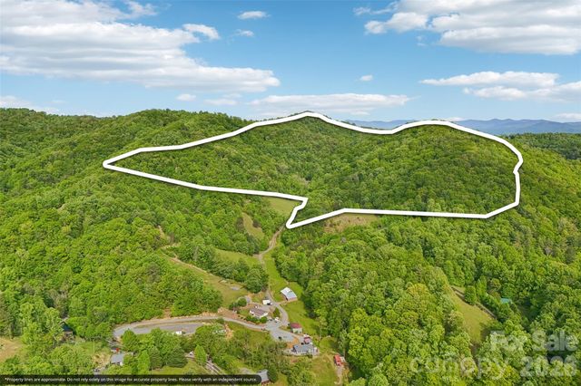 590 Willow Lane, Marshall, NC 28753