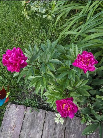 585 Evergreen Lane, Saginaw, MI 48604