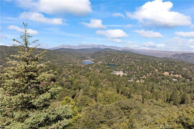 716 Chamois Drive, Crestline, CA 92325