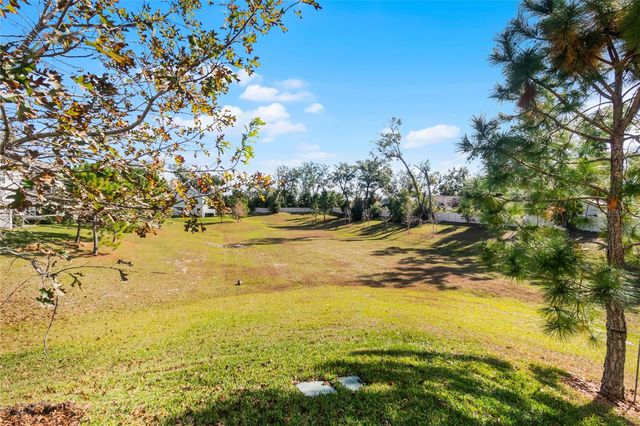 1335 E 10TH STREET, Apopka, FL 32703