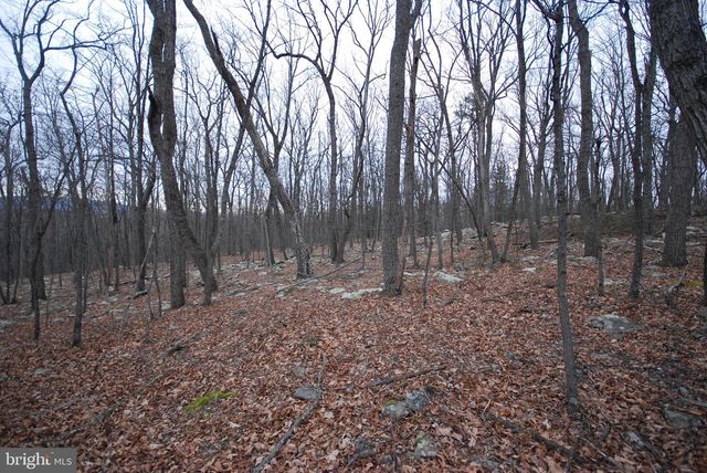 LOT 88 WAKEMAN DR, Augusta, WV 26704