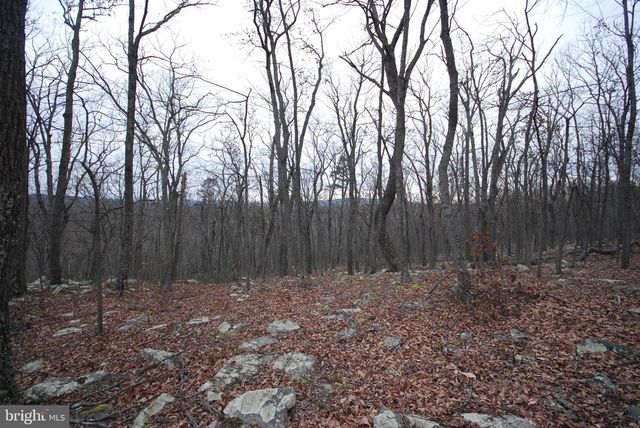 LOT 88 WAKEMAN DR, Augusta, WV 26704