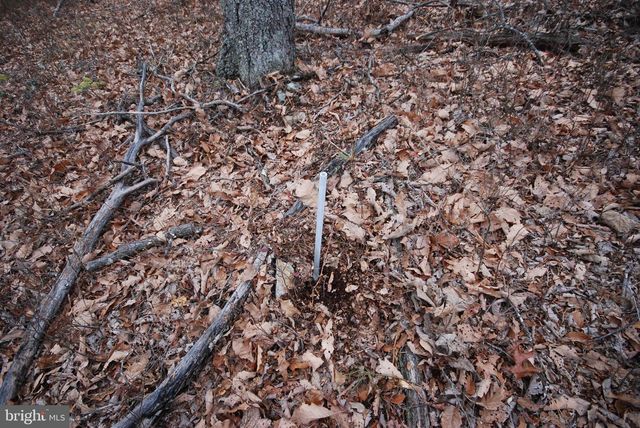 LOT 88 WAKEMAN DR, Augusta, WV 26704