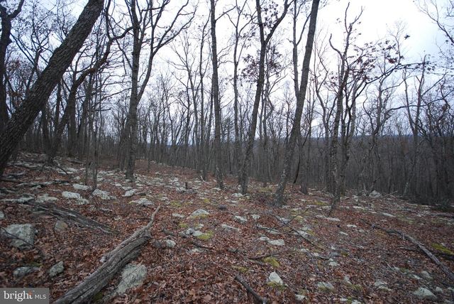 LOT 88 WAKEMAN DR, Augusta, WV 26704