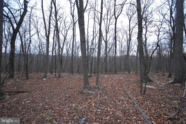 LOT 88 WAKEMAN DR, Augusta, WV 26704