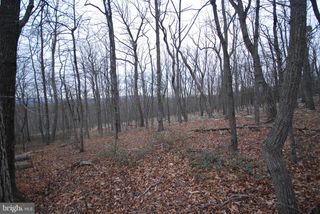LOT 88 WAKEMAN DR, Augusta, WV 26704