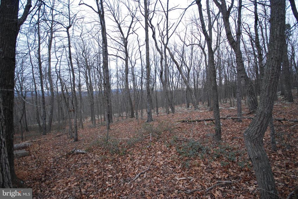 LOT 88 WAKEMAN DR, Augusta, WV 26704