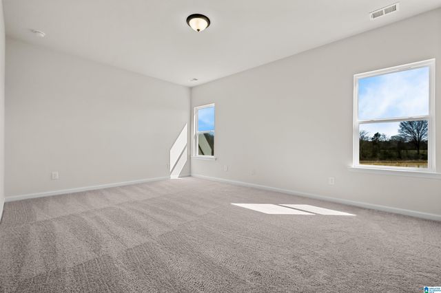 The Benson II SPRINGDALE LANE, Columbiana, AL 35051