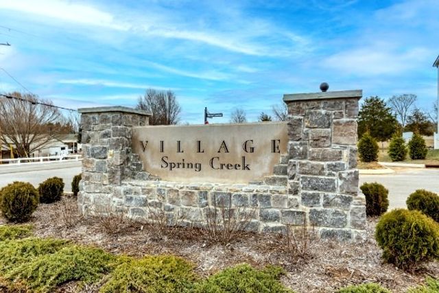 107 Harper Lndg, Chapel Hill, TN 37034