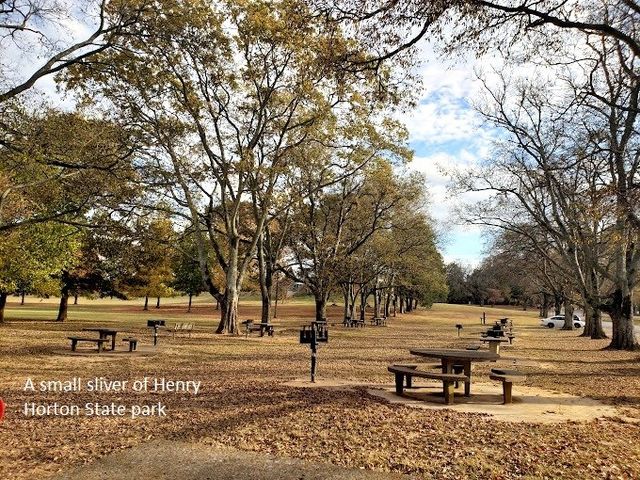 107 Harper Lndg, Chapel Hill, TN 37034