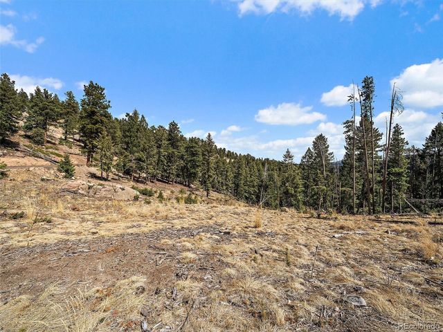 32634 Lodgepole Cir, Evergreen, CO 80439