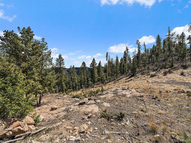 32634 Lodgepole Cir, Evergreen, CO 80439