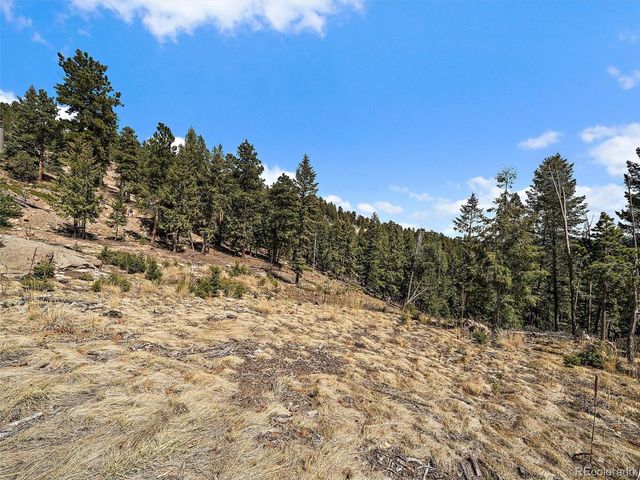 32634 Lodgepole Cir, Evergreen, CO 80439