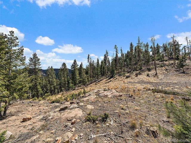 32634 Lodgepole Cir, Evergreen, CO 80439