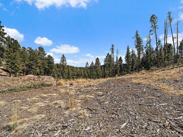32634 Lodgepole Cir, Evergreen, CO 80439