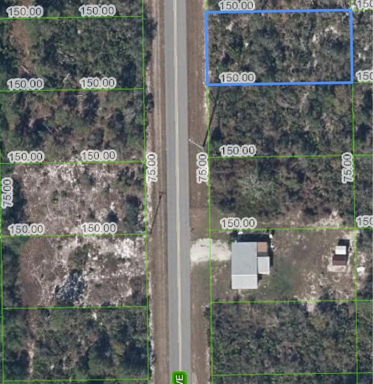 411 HALLMARK AVENUE, Lake Placid, FL 33852