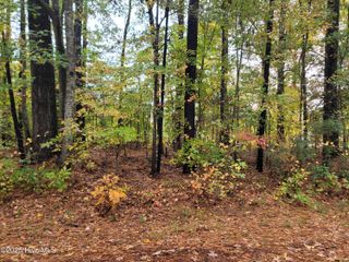 Lot #17 Dogwood Trail, Elizabeth City, NC 27909