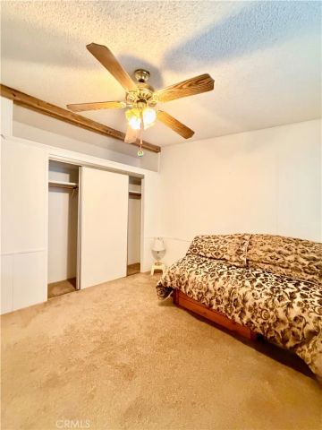 24600 Mountain 92, Hemet, CA 92544