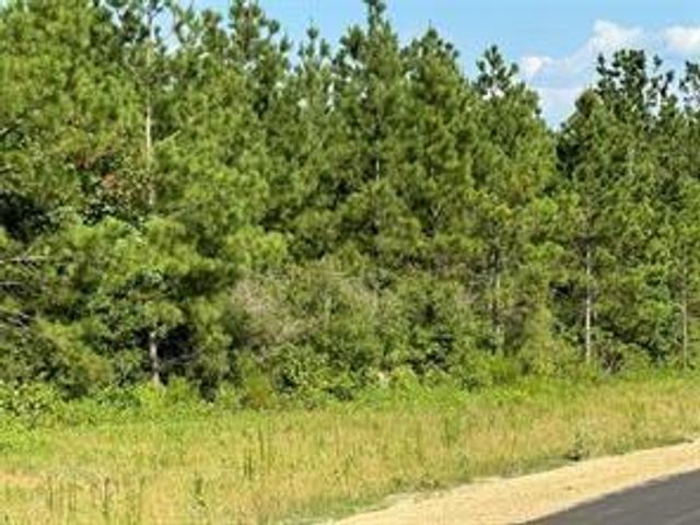 12087 High Branch Way, Willis, TX 77378