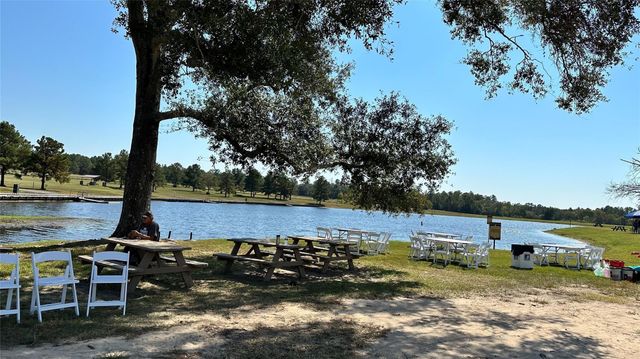 12087 High Branch Way, Willis, TX 77378