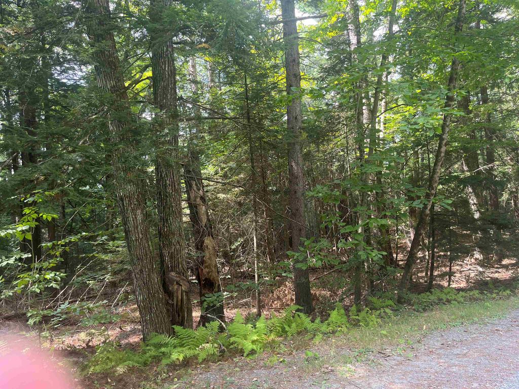 50 Longwood Drive, Grantham, NH 03753
