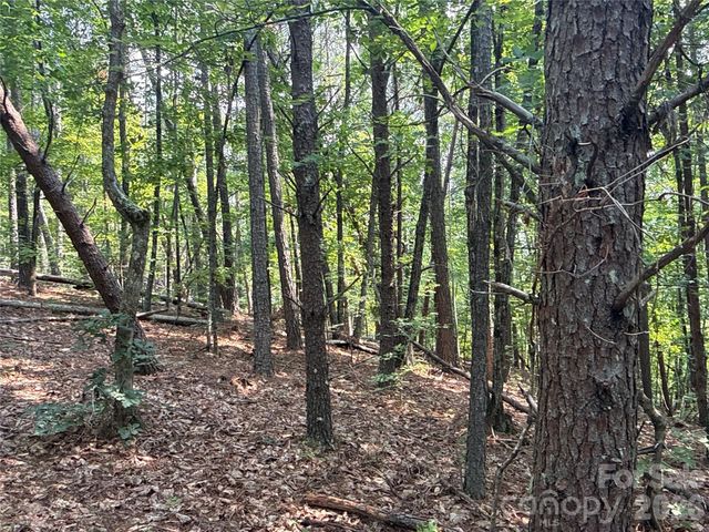 242 Golden Creek Ridge, Union Mills, NC 28167