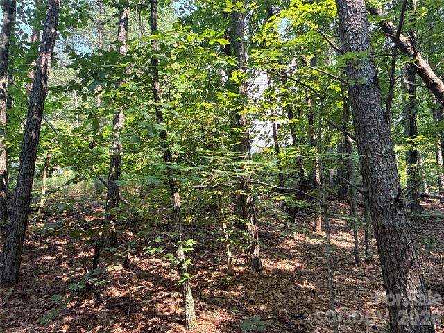 242 Golden Creek Ridge, Union Mills, NC 28167