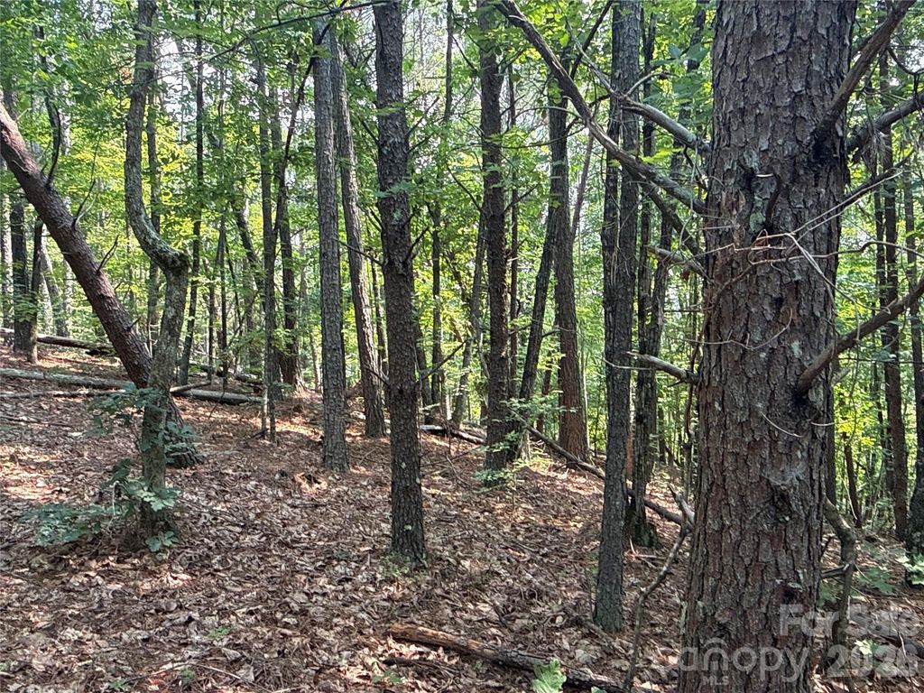 242 Golden Creek Ridge, Union Mills, NC 28167
