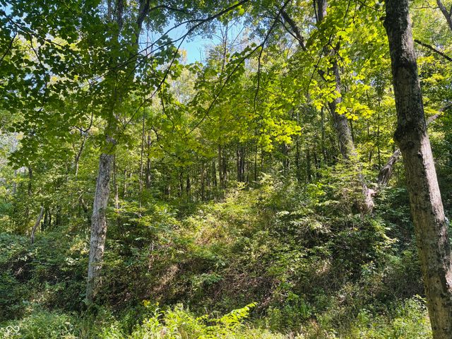 6546 S State Road 121, Connersville, IN 47331