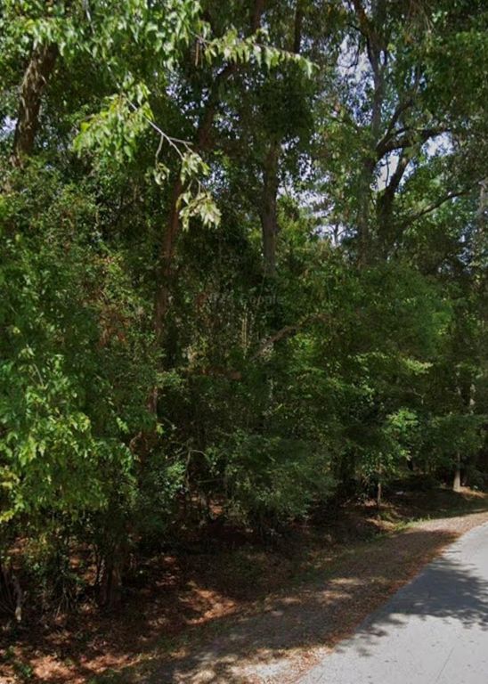 0 Northshore Dr Drive, Houston, TX 77339