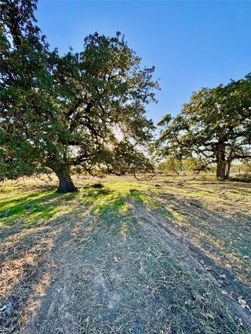 14114 Howard Lake Court, Lipan, TX 76462