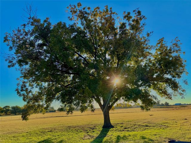 14114 Howard Lake Court, Lipan, TX 76462