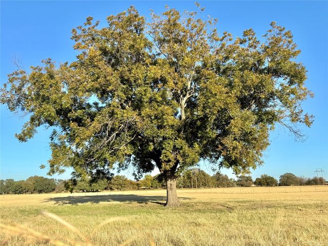 14114 Howard Lake Court, Lipan, TX 76462