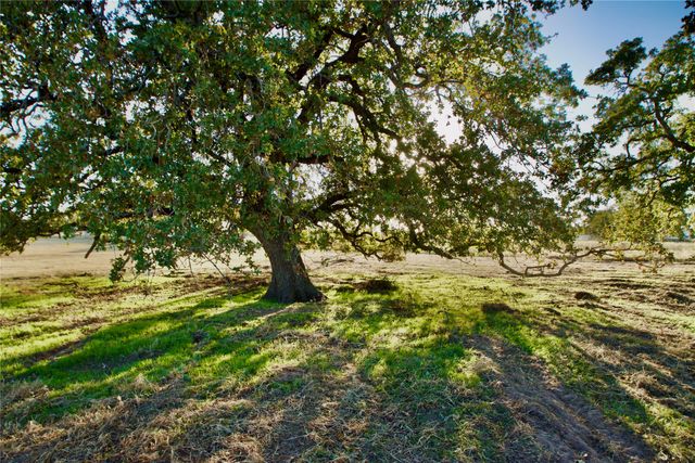 14114 Howard Lake Court, Lipan, TX 76462