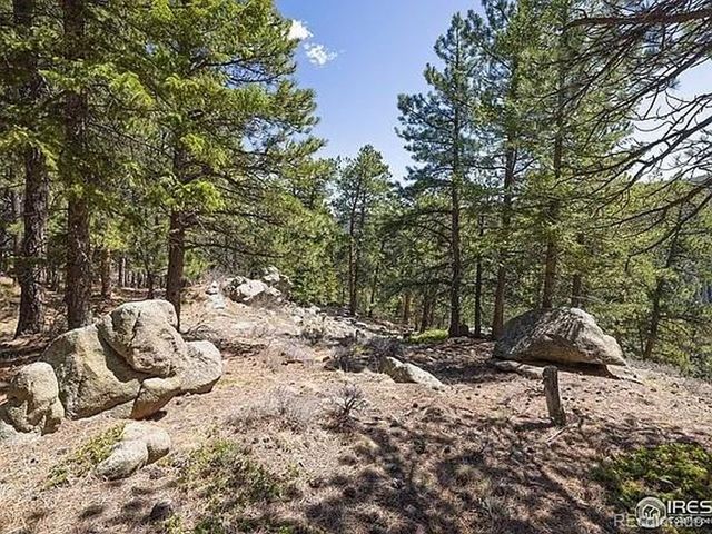 213 Rocky Knob Ln, Nederland, CO 80466
