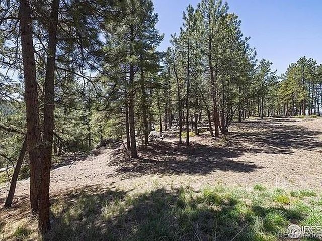 213 Rocky Knob Ln, Nederland, CO 80466