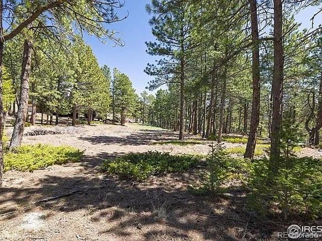 213 Rocky Knob Ln, Nederland, CO 80466