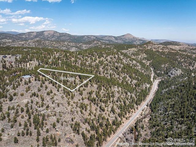 213 Rocky Knob Ln, Nederland, CO 80466