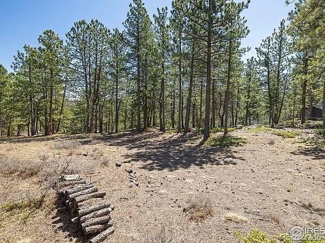 213 Rocky Knob Ln, Nederland, CO 80466